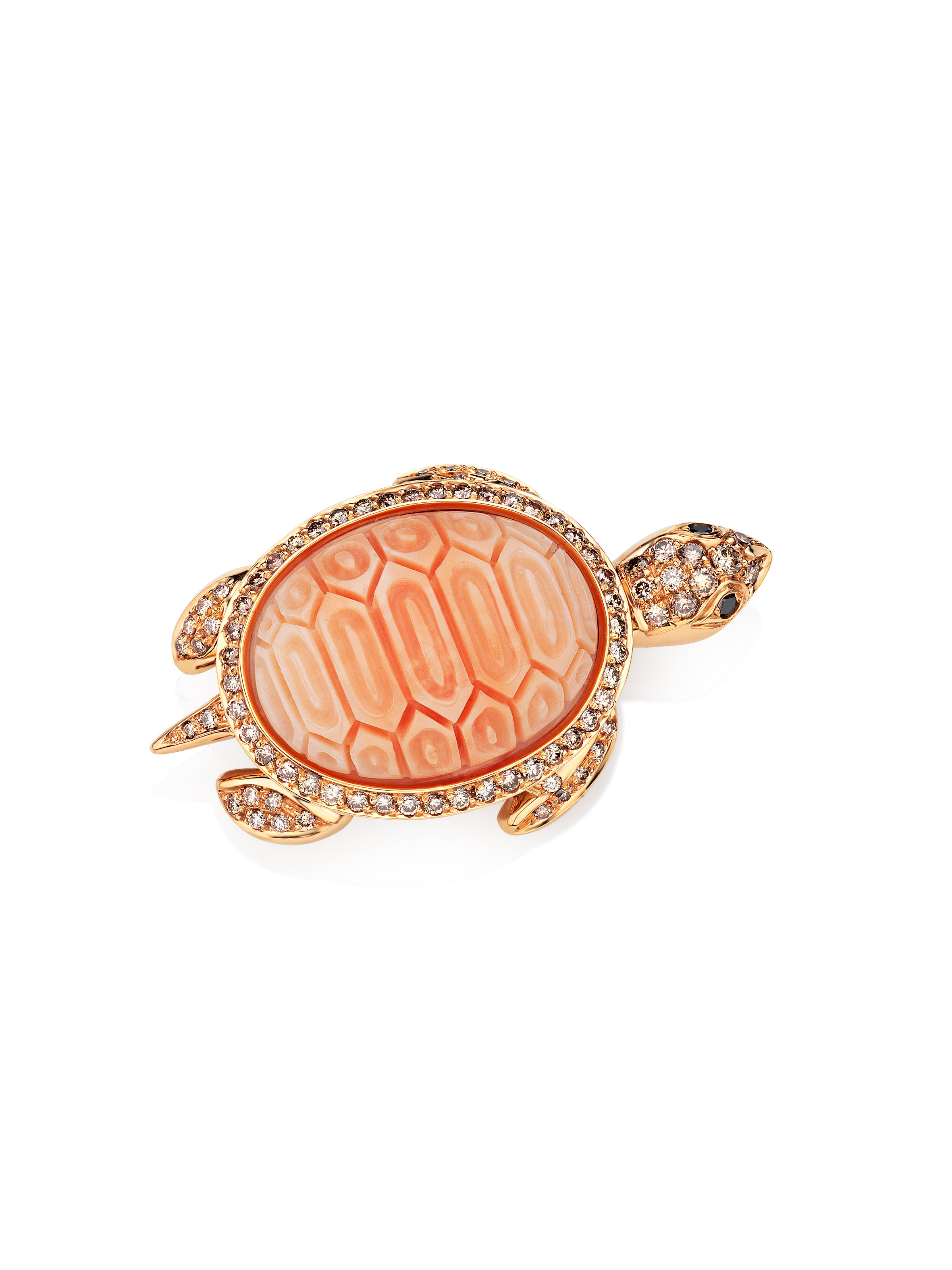 Brosche Schildkröte
